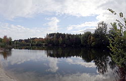 Polski: Nisko - jeden ze stawów przy ul. Wilczej - panorama