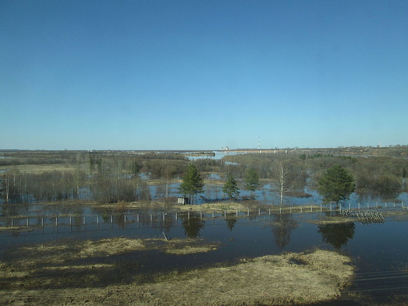 File:Northern Dvina River floodplain during floods (Kotlas).JPG