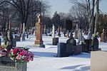 Vignette pour Cimetière Notre-Dame d'Ottawa