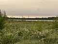 Réserve naturelle de la Tourbière-du-Lac-à-la-Tortue[10],[4], lac Trotochaud ou Valmont, rang Saint-Louis