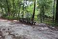 Bench along Sante Fe River on River Trail