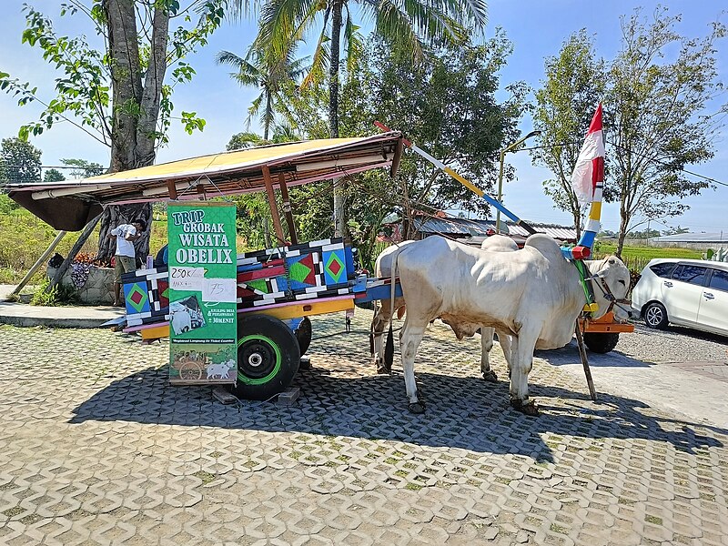 File:Obelix Village - Kereta Sapi.jpg