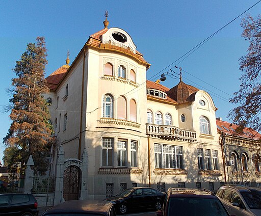 Okányi-Schwartz House - Oradea (4)