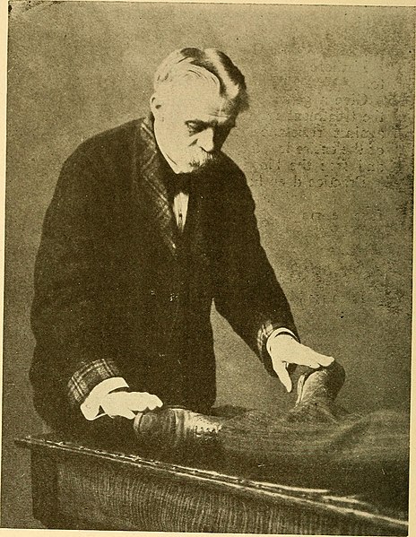 File:Osteopathic first aids to the sick - written for the sick people (1906) (14803338023).jpg