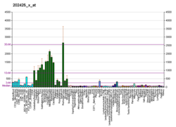 PBB GE PPP3CA 202425 x در fs.png