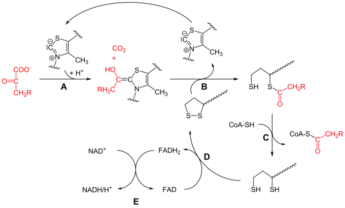 Reakční mechanismus