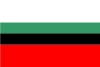 Dabrowa Gornicza bayrağı