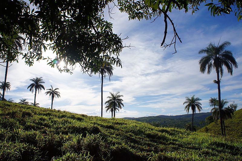 File:Paisagem Paineiras.jpg