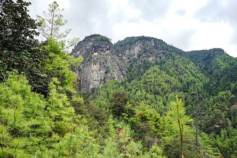 File:Paro, Bhutan (49690839008).jpg