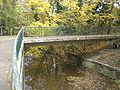 Pedestrian bridge on the Seymaz river