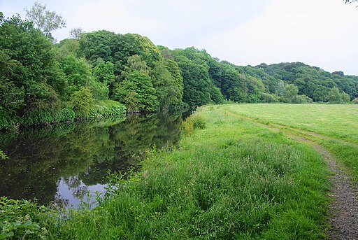 Path by the River Darwen - geograph.org.uk - 4043143