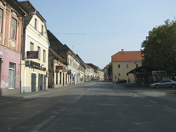 Old street in Petrinja, 2011