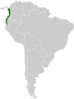 Distribución geográfica del ermitaño de Yaruqui.
