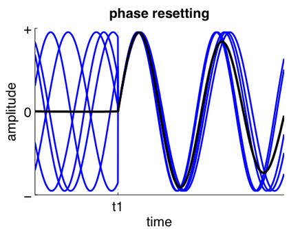 The phase of ongoing oscillatory activity is reset at t1.