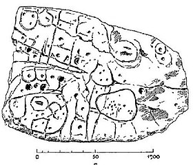 La piedra grabada de Saint-Bélec, en Leuhan (dibujo de Paul du Châtellier)