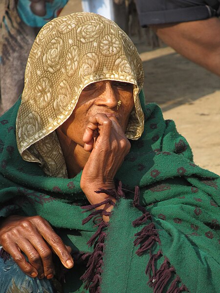 File:Pilgrim - Gangasagar Fair Transit Camp - Kolkata 2012-01-14 0763.JPG