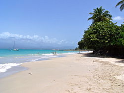 Plage du Gosier.JPG