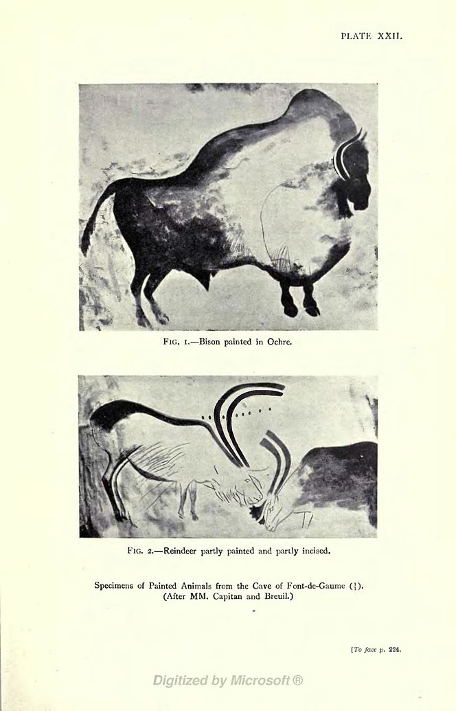 FIG. I. Bison painted in Ochre. FIG. 2. Reindeer partly painted and partly incised. Specimens of Painted Animals from the Cave of Font-de-Gaume (1/1). (After MM. Capitan and Breuil.) [To face p. 224.