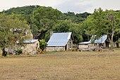 Historic saltbox houses of the Plehwe Complex Plehwe complex 2013.jpg