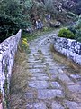 Ponte Romana sobre a que pasa o camiño de Santiago