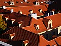 * Nomination Monk and Nun tile roofs of Lesser Town palaces, viewed from the Ledebour Garden, Prague --JiriMatejicek 08:09, 17 November 2023 (UTC) * Promotion  Support Good quality. --Plozessor 16:09, 24 November 2023 (UTC)