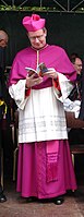 Then-Archbishop Willem Jacobus Eijk (Utrecht) wearing an amaranth biretta