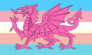 Welsh dragon says trans rights