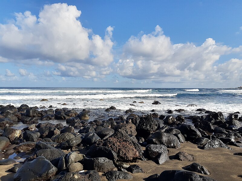 File:Quintanilla, Gran Canria, pebble beach with birds.jpg