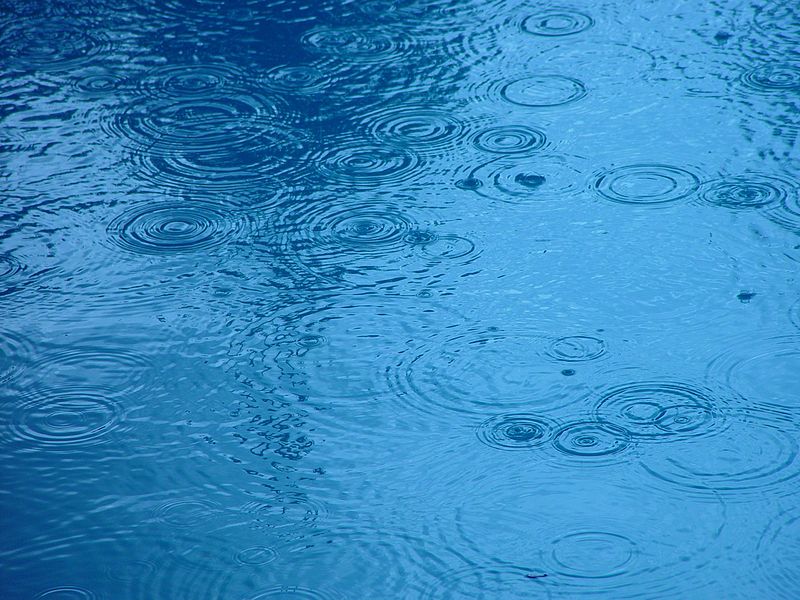 File:Rain droplets.jpg