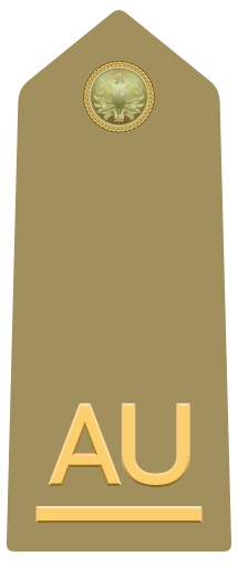 File:Rank insignia of allievo ufficiale of the Italian Army.svg