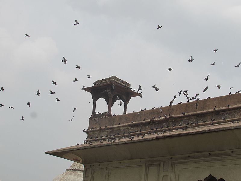 File:Red fort, Delhi 40.jpg