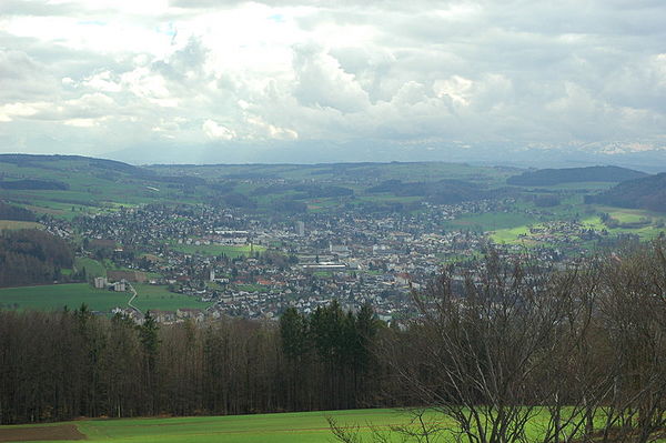 Reinach, seen from the Homberg (28 March 2005)