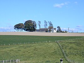 Oak yard from the north