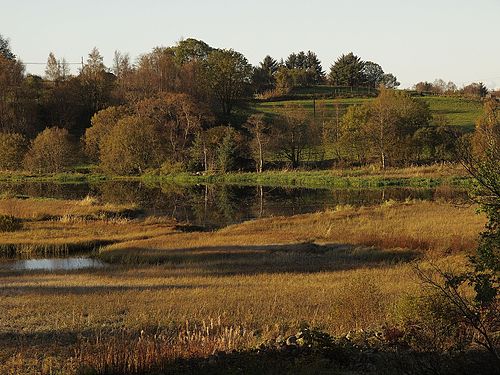 Rimbareidtjørna is both draft, hedge and grazing area for wet birds. Foto: Roemag