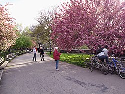 Riverside Park (parke sa Tinipong Bansa, New York, New York County)