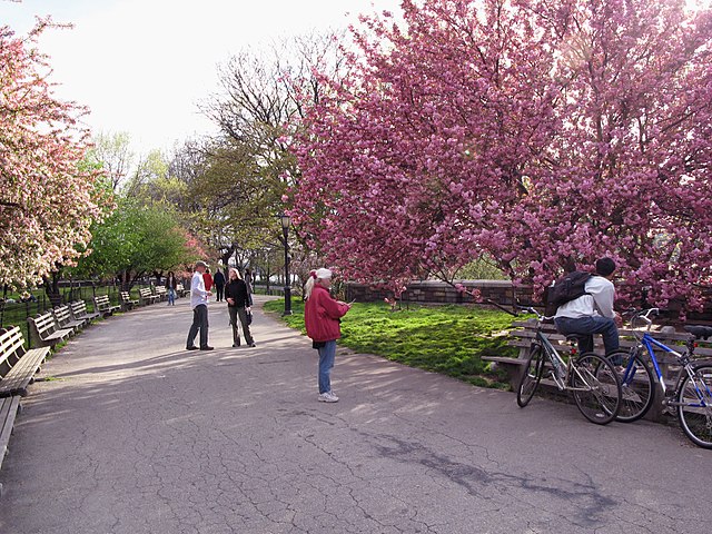 Riverside Park has many walking and bicycle paths.
