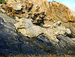 Roques del Cap de Creus (Rabassers - punta dels Farallons)