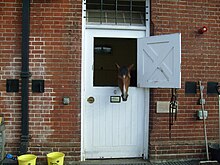 A retired racehorse in the Rothschild Yard Rothschild Yard.jpg