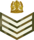 Sajinitaji (Tanzania Army OR-07).png