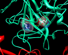 Proposed counterion for Asp740 is Lys698 create salt-bridge Saltbridge 1.png