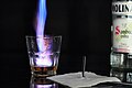 Sambuca ardiente con la mosca