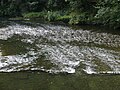 Sauer river near Esch-sur-Sûre 5.JPG