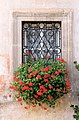 Scanno Italy Floral Window.jpg