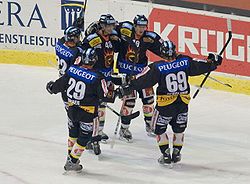 Scbern jubel.jpg