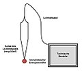 Schematischer Aufbau einer Optrode