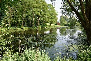 Schleswig-Holstein, Kollmar, Naturdenkmal NIK 6065.JPG