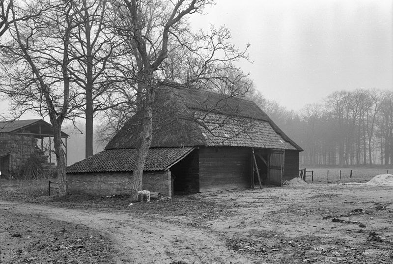 File:Schuur bij Huis te Baest - Baast - 20027311 - RCE.jpg