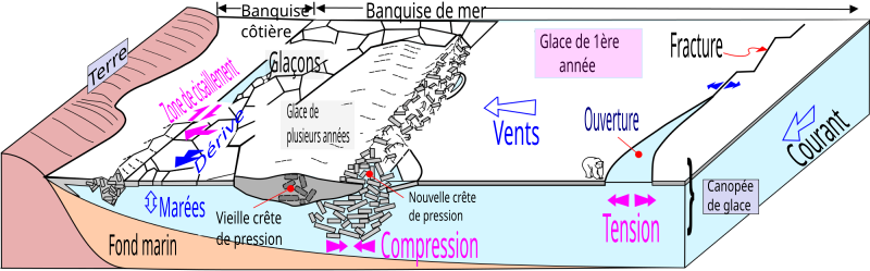 File:Sea ice Drawing General features fr.svg