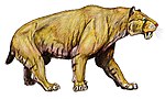 Miniatura per Smilodon populator