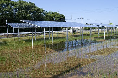 Solar panels above paddy fields in Japan, an example of agrivoltaics Solar Sharing Power Plant in Kamisu, Ibaraki 04.jpg